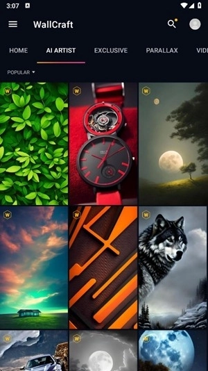 Wallcraft壁纸最新版图2