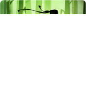 暗影格斗2国际服