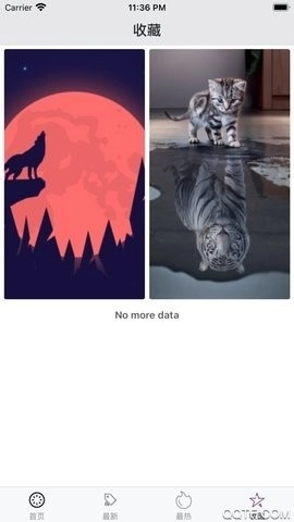 百变桌面壁纸软件图3