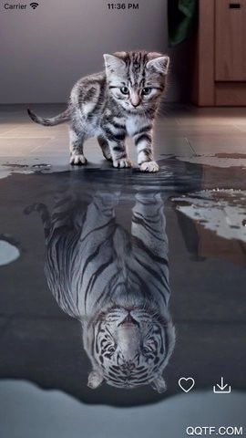 百变桌面壁纸软件图2