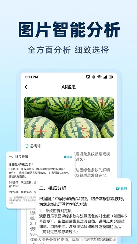 AI挑水果图2