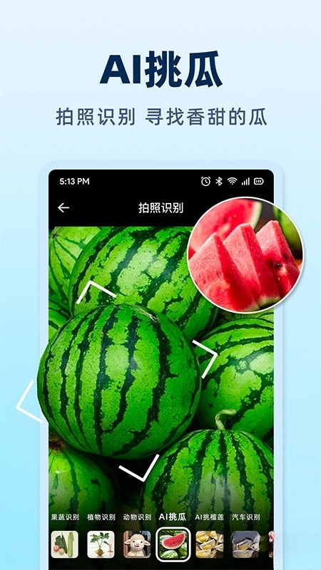 AI挑水果图5
