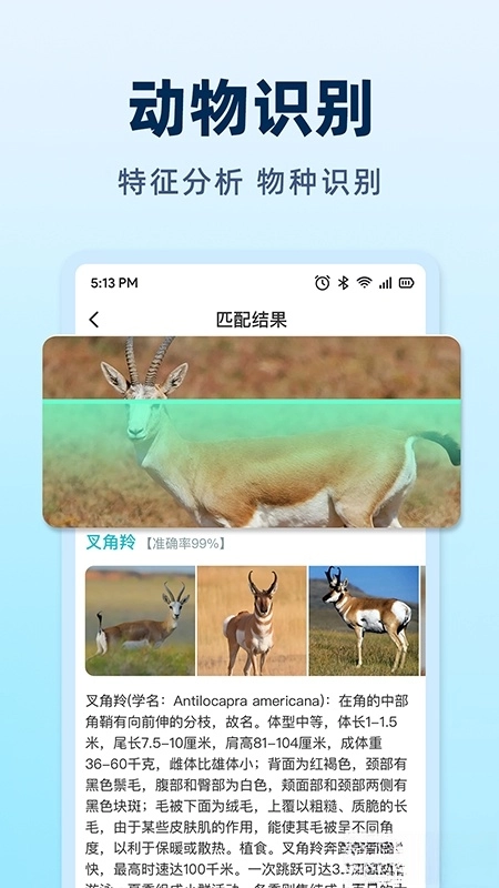 AI挑水果图3