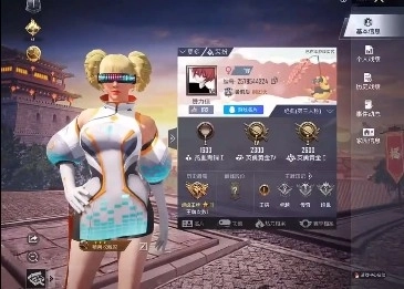 和平精英美化包安卓版