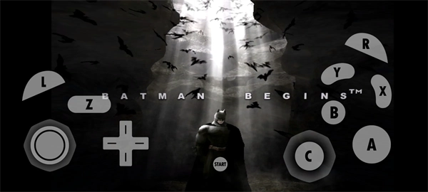 蝙蝠侠侠影之谜游戏