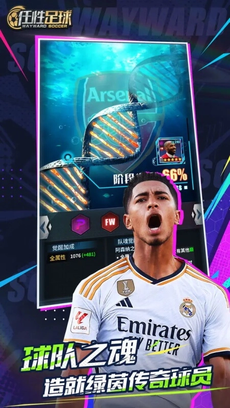 任性足球正版(4)