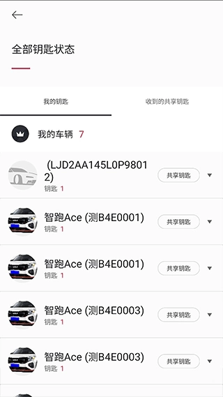 Kia Connect(4)