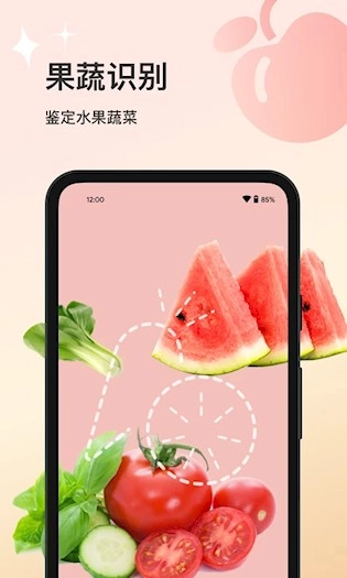 花卉识别安卓版