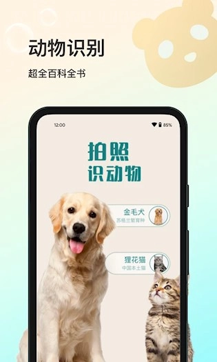 花卉识别安卓版