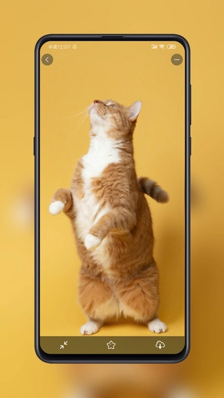 纸塘壁纸2025-图2