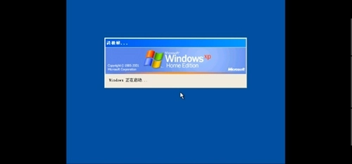 windows模拟器安卓版
