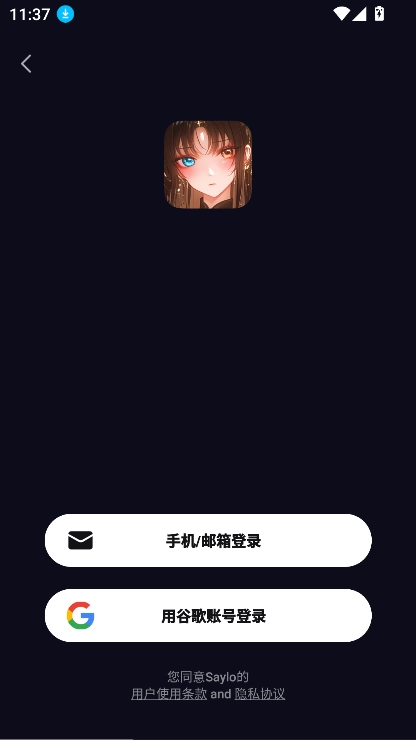 Saylo国际服安装 