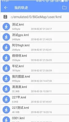 卫星地图BIGEMAP2025手机版