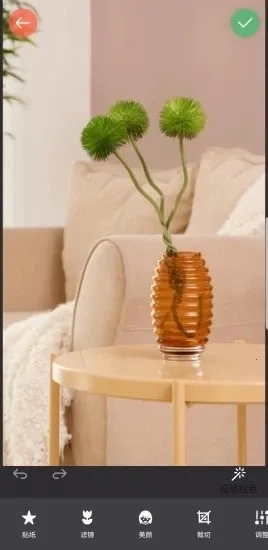 镜像相机2025手机版