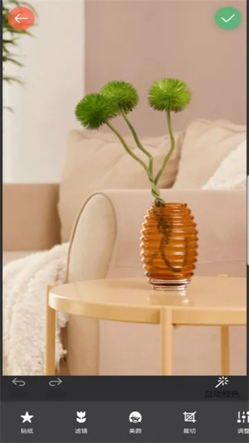 镜像相机2025手机版