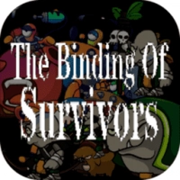 幸存者结合(The Binding Of Survivors)