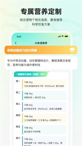 宠拍档-图2