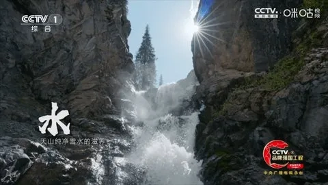 冰茶订阅专用(电视直播软件)  安卓版图3