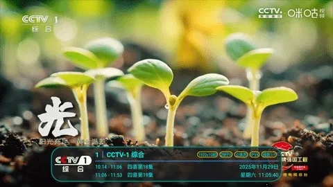 冰茶订阅专用(电视直播软件)  安卓版图4