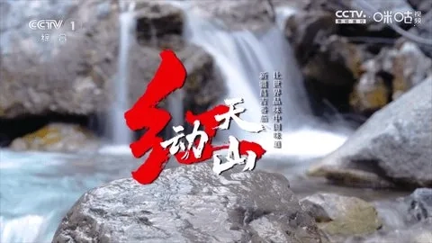 冰茶订阅专用(电视直播软件)  安卓版图2