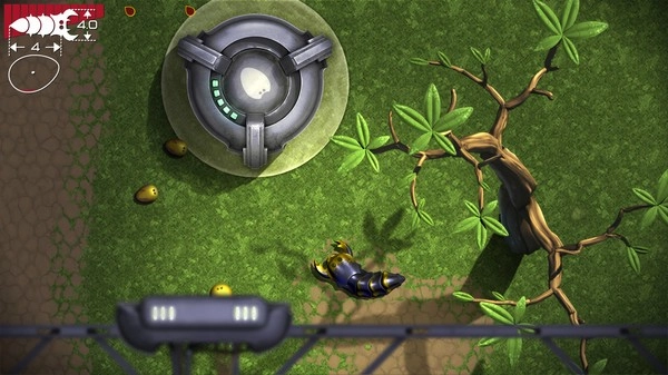 贪吃瑞拉菜单(1)