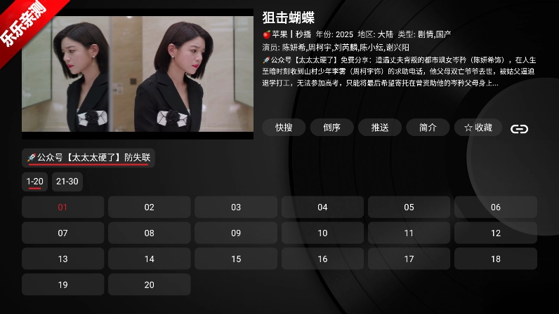 TVBox安装包电视版(2)