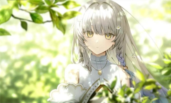 奏安卓移植版(1)