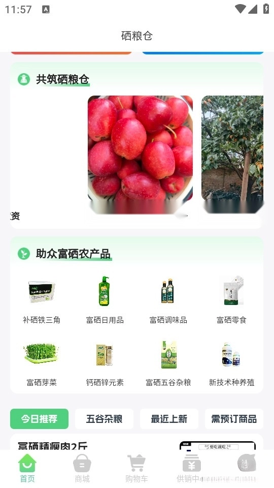 硒粮仓