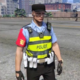 真实警察自由模拟