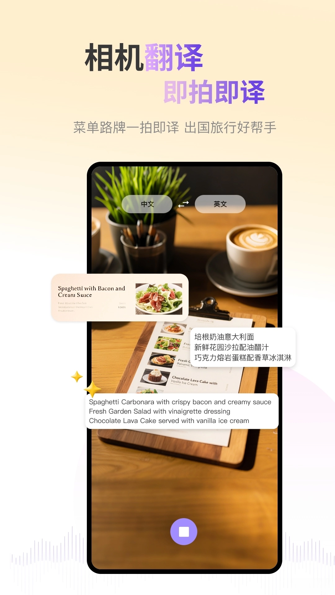 ViiTor实时翻译图5