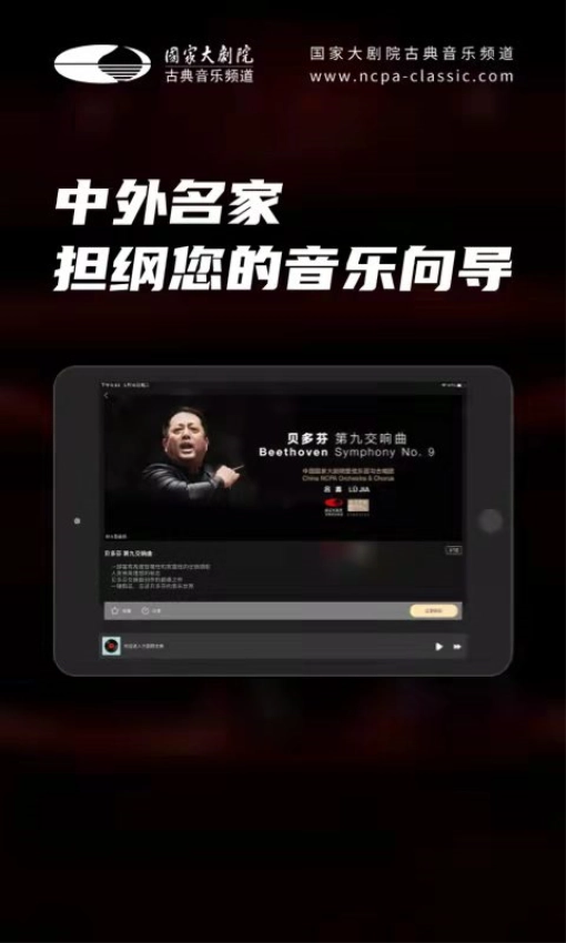 大剧院·古典HD图2