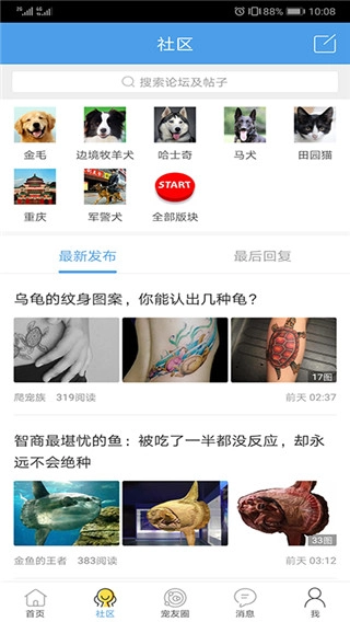 宠物之家(4)