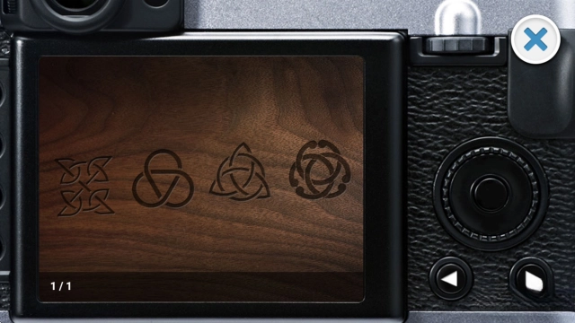 黑荆棘城堡之谜汉化版