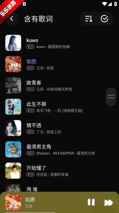 Lark Player中文版图3