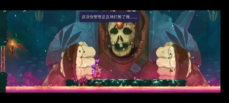 deadcellsDlc全解锁  通用版图2