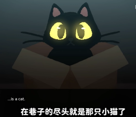 别带这只猫回家游戏最新版下载