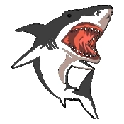 橘猫计算机安卓免费版