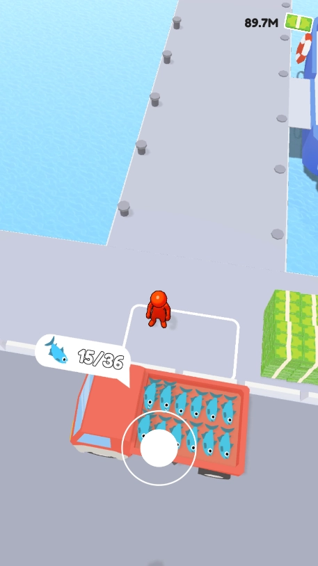 鲨鱼海港