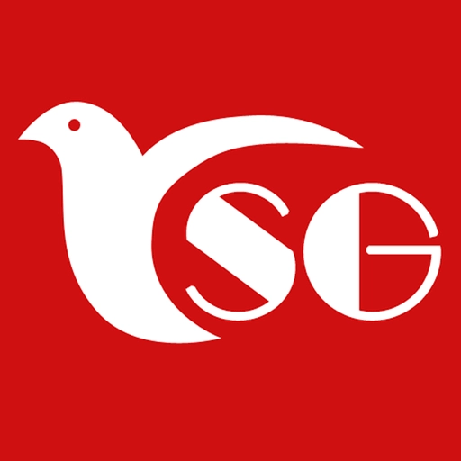 赛鸽头条安装