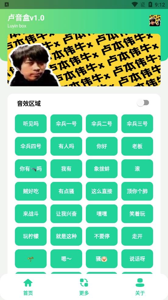 卢音盒