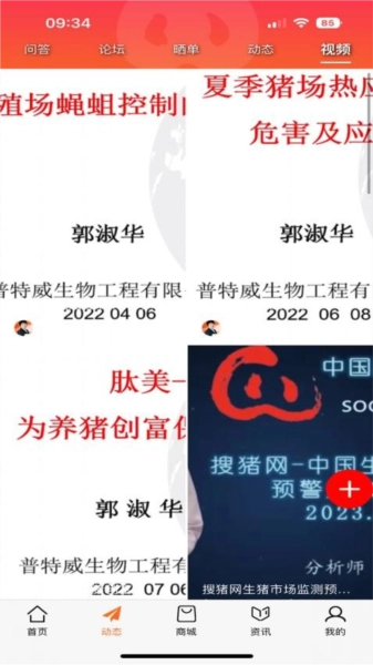 金猪图3