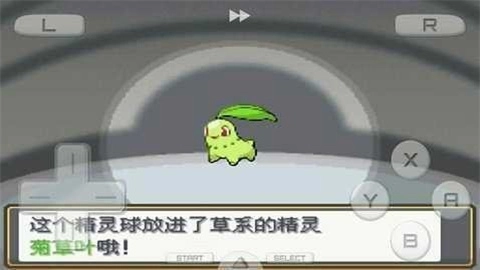口袋妖怪心金魂银(3)