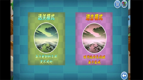 我的鸟随机图2