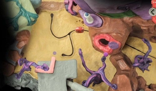 感官点完整版(1)