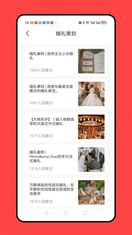 婚礼纪备婚新娘结婚小助手(2)