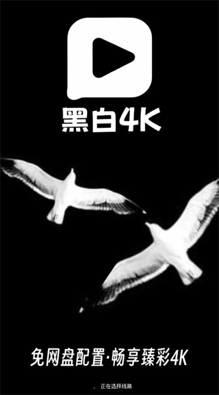 黑白4k影视