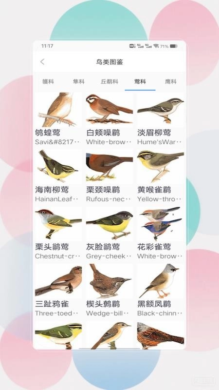 鸟语翻译器prt客户端