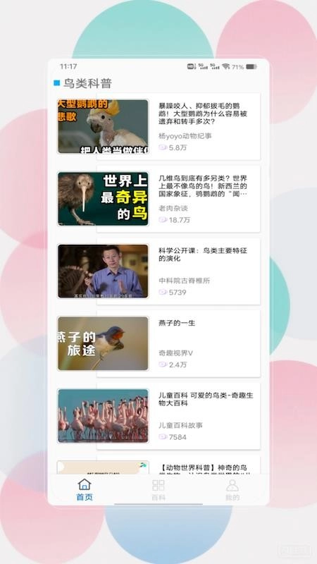 鸟语翻译器prt客户端