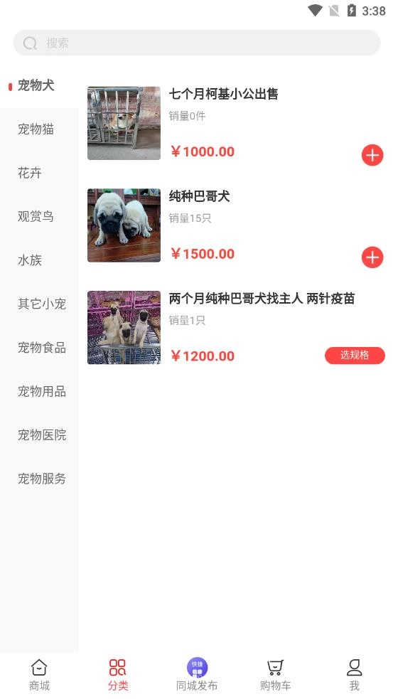 同城宠物图2