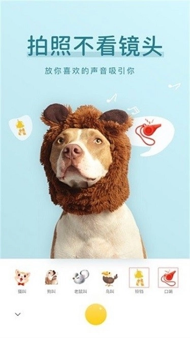 萌仔相机手机版(1)
